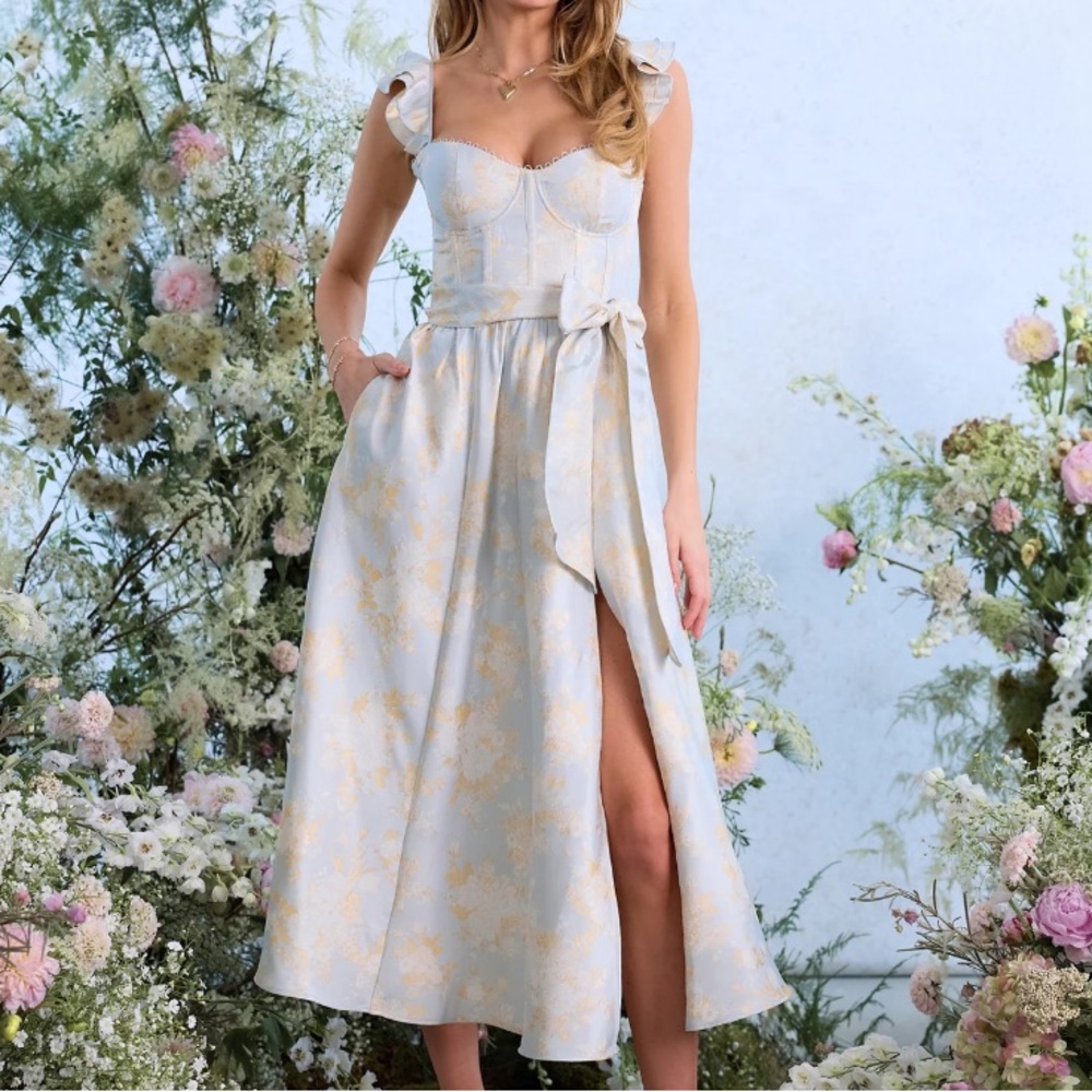 V. Chapman Vera Corset Midi Dress NWT